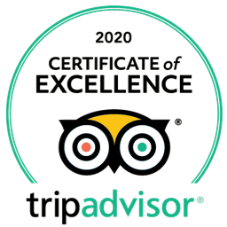 Tripadvisor certificate of excellence 2020 logo